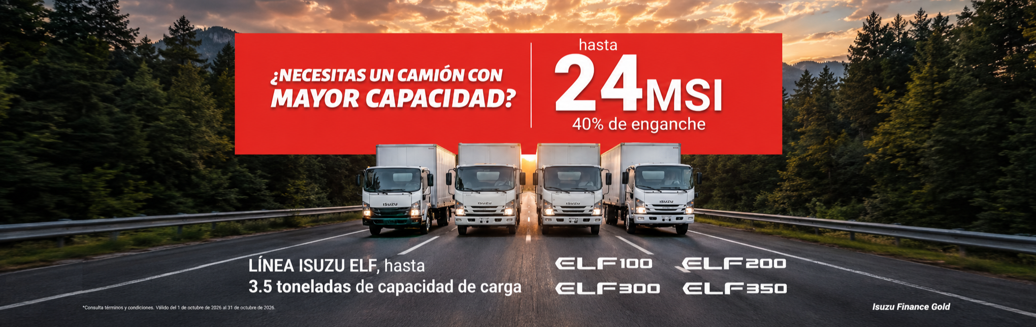 Banner linea ELF